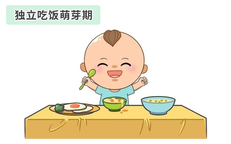 如果家长坚持每次吃饭都让宝宝自己用勺子吃,宝宝就能较熟练的使用