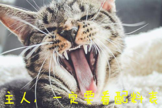 不看毒猫粮排行榜名单 也能轻松避开毒