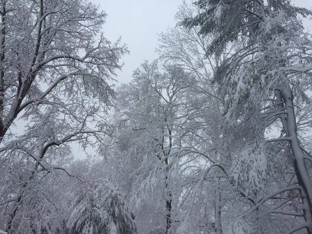 北方的朋友圈下雪了 雪人竞相登场