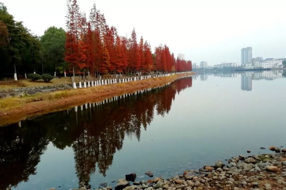 最近新余的天气咋样? 是不是温暖的"不像样"?
