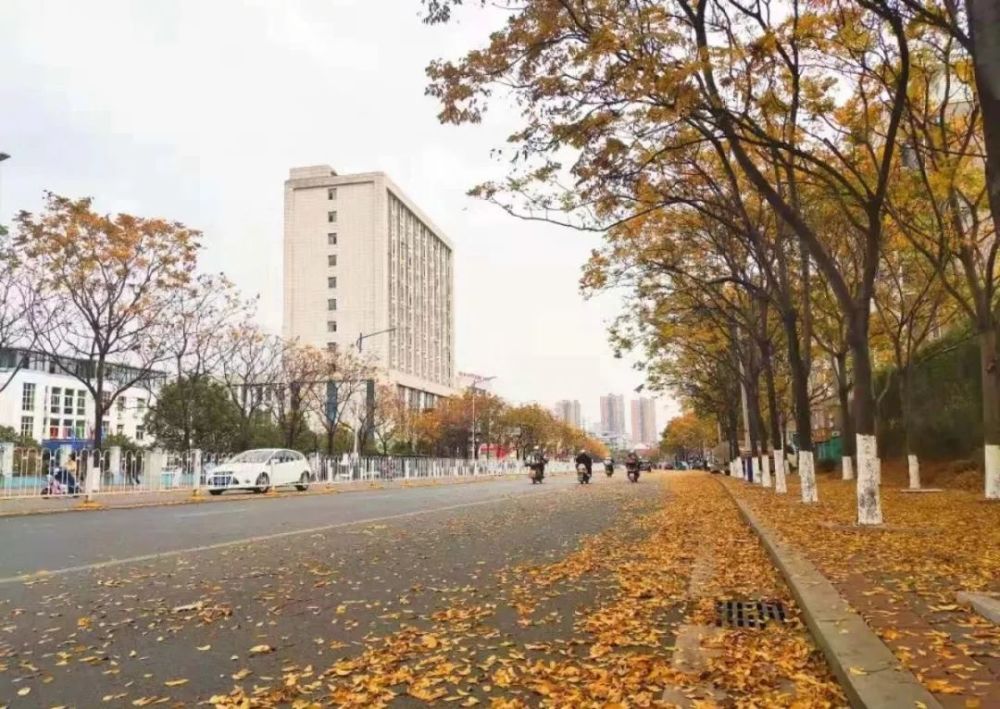 最近新余的天气咋样? 是不是温暖的"不像样"?