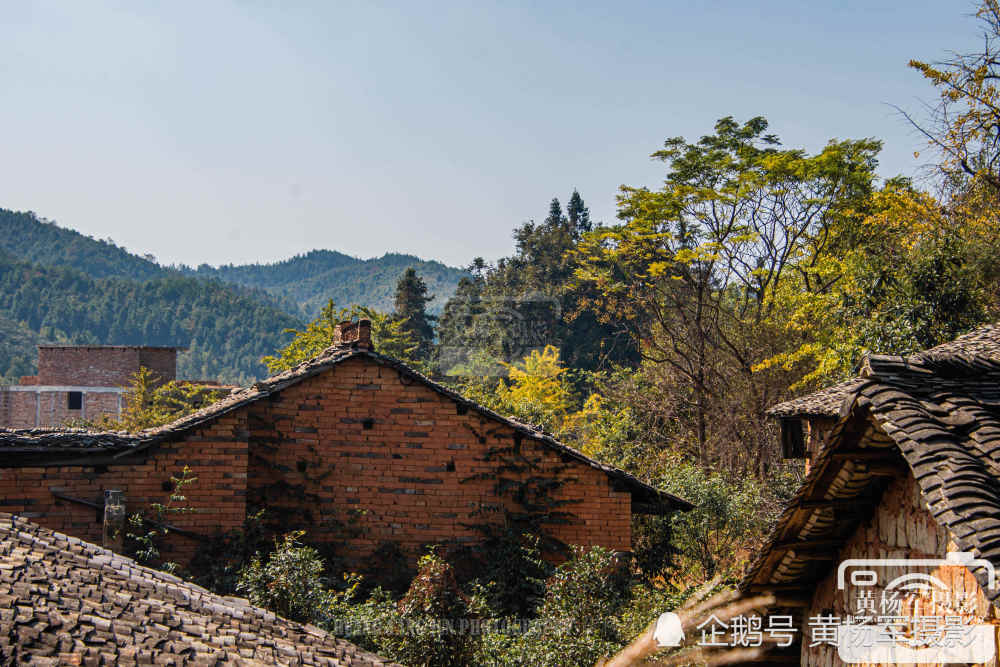 熟悉的乡村风光,难忘的农村场景.