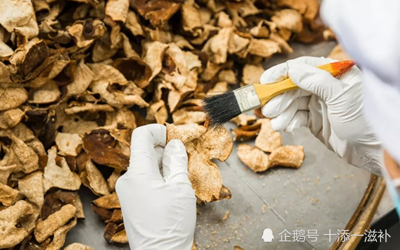 三,如何家里自制陈皮 通过以上新会陈皮制作方法学习,其实大家都可以