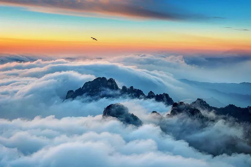 这里有山花烂漫,春深似海 这里有云海日出,美景如画 这里有漫山红林