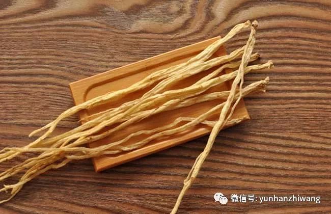 人参和党参的区别
