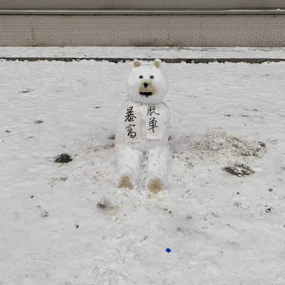 "高手云集" 《红领巾少年》 如果堆雪人有考试 那么你想及格可能都