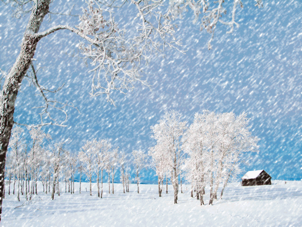 最美的雪景,是你扫雪的画面……_腾讯新闻