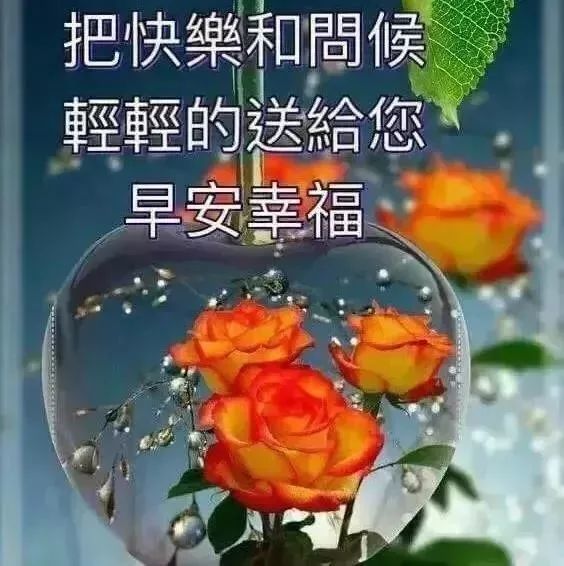 朋友圈最好看的早上好祝福大家图片表情闪动 发女朋友
