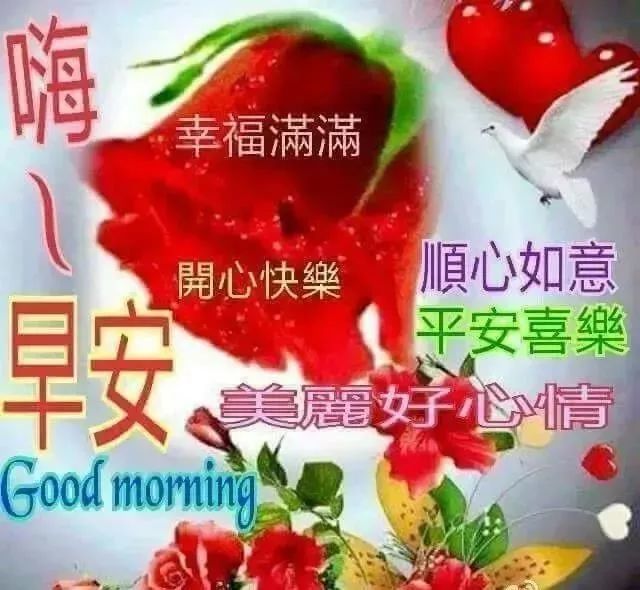 朋友圈最好看的早上好祝福大家图片表情闪动 发女朋友