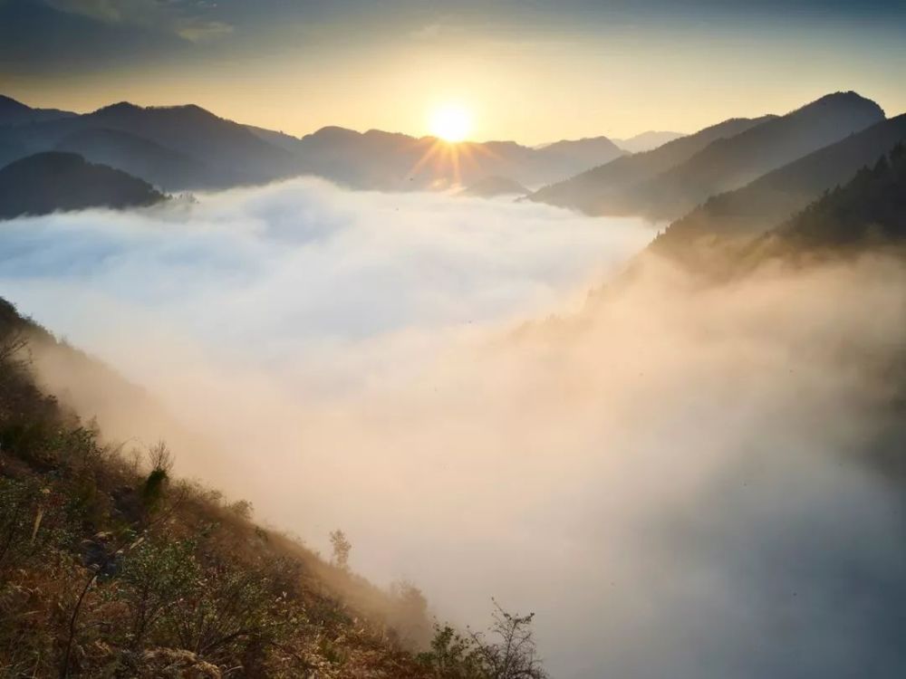 叶君:空山不空