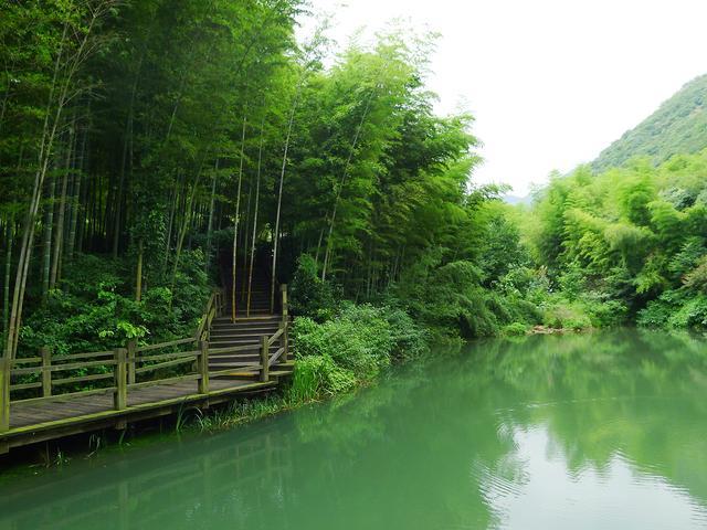 中国旅游景区大全之南山竹海景区