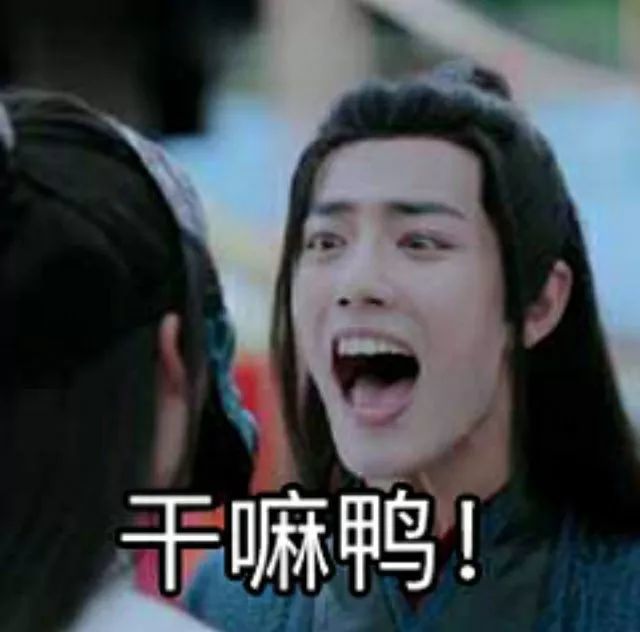 肖战,金星