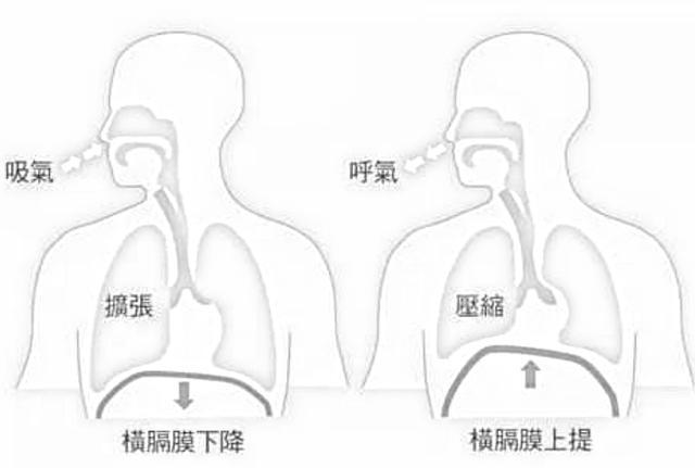 唱歌的基础技巧,掌握丹田发声用气,飙高音唱k怎么唱都