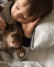 小男孩哄猫咪入睡,太可爱了