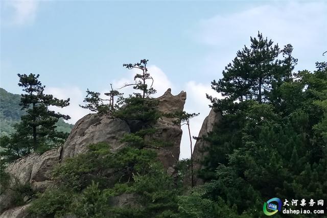 老界岭,旅游景区,西峡县,南阳,伏牛山