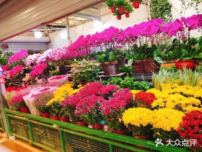 朝来春花卉市场 (图源:大众点评 说实话的王小美) 位于来广营附近 主