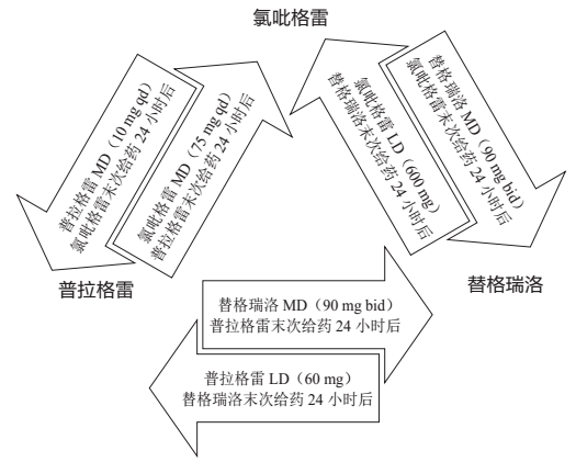 血小板,药物,氯吡格雷