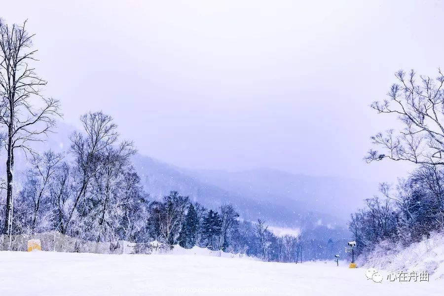 牧风 作品《风雪吹醒的名字》