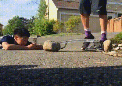 猴子:别动,别动,你是我的,我抱你回去 狗子:谁?谁?谁?