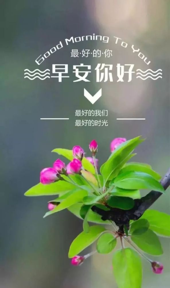 12月19早上好正能量很火的一段话