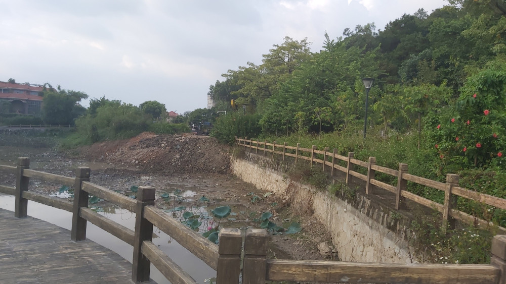位于东莞横沥的张坑公园,号称张坑村的后山"风水宝地"