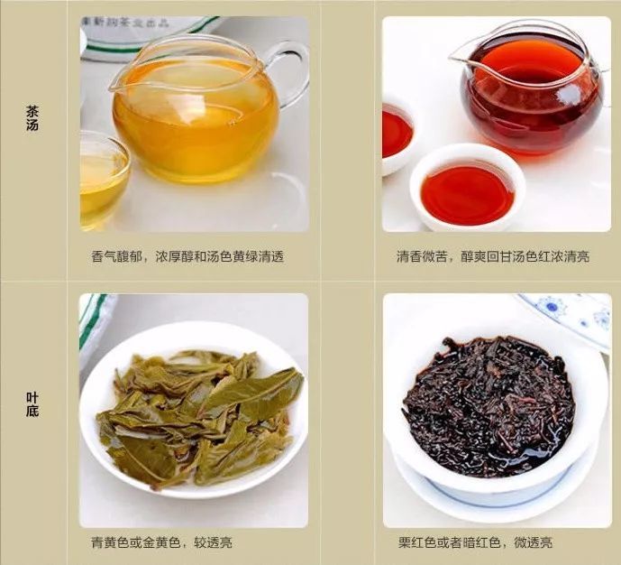 普洱"生茶""熟茶"究竟是怎么区分的?