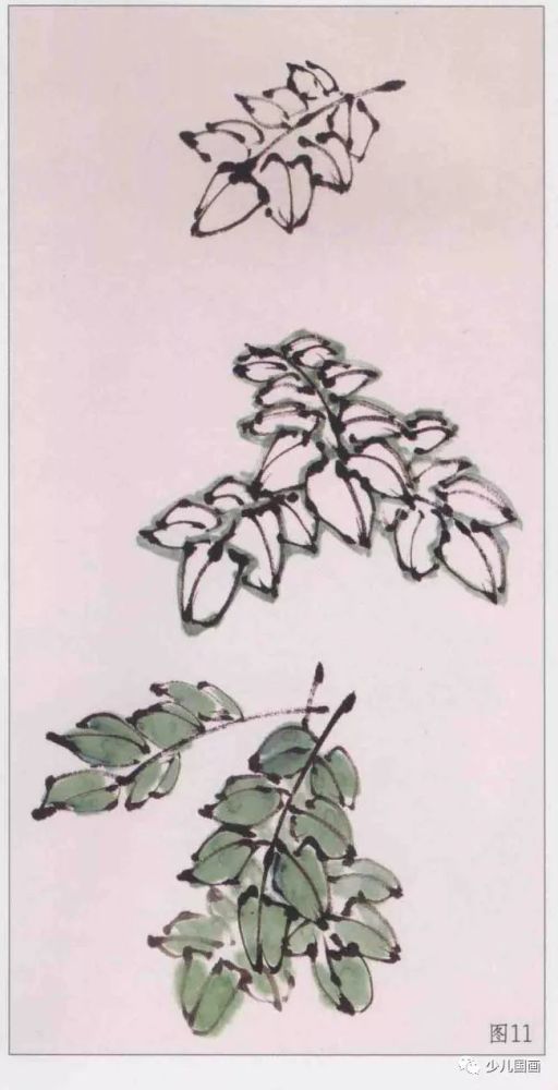 藤本植物,画法