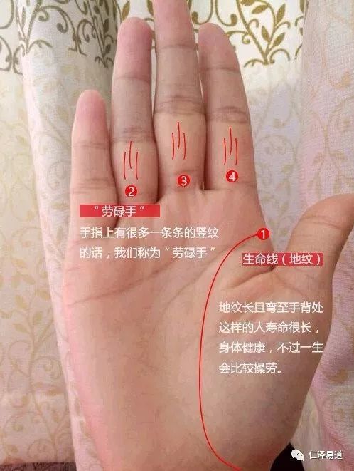 这3种掌纹天生劳碌命,有福不会享的"煮妇手"!