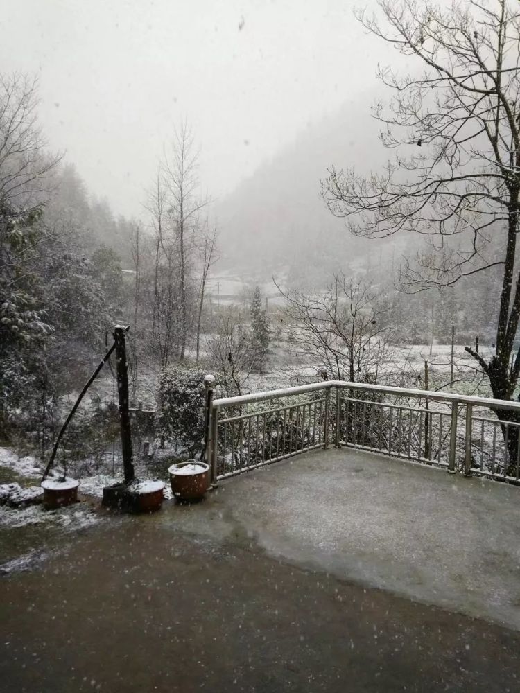 利川,齐岳山,高山,雪景