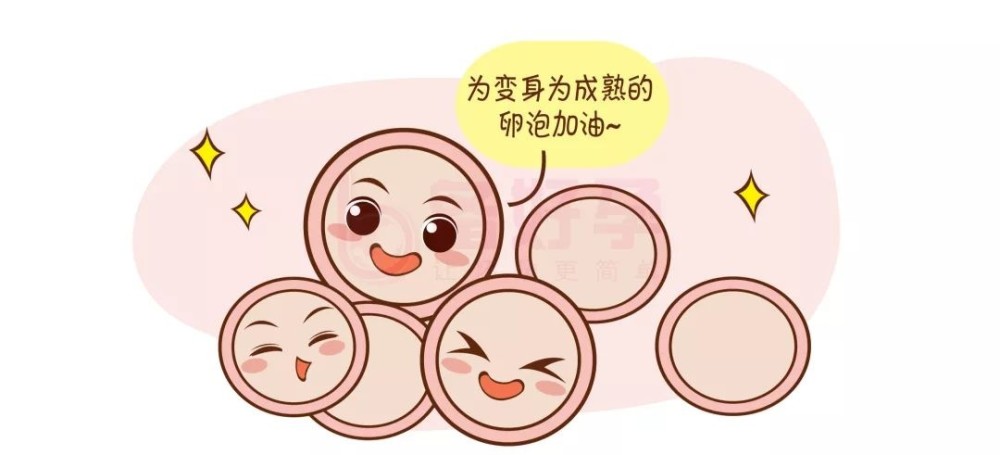 长方案,短方案哪个更好?这些促排卵方案你了解哪几个?