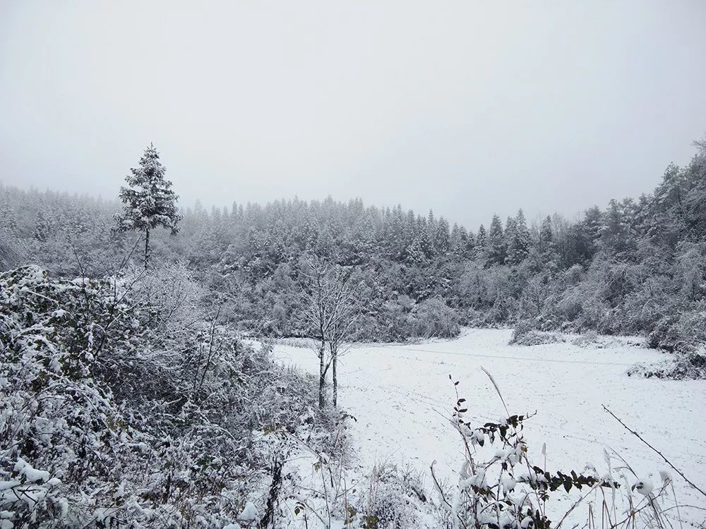 彭水,摩围山,雪景