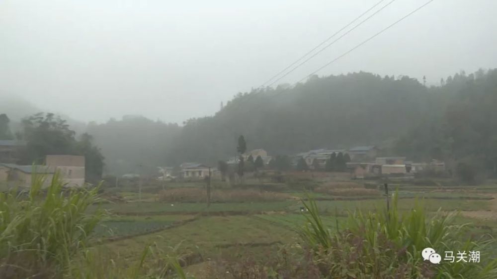 蔬菜,马关县,蔬菜种植,石岩