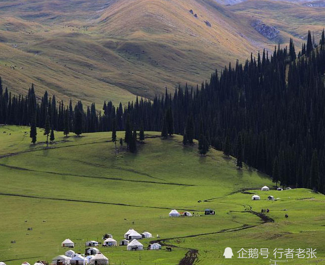 伊犁河谷最美的地方,世界四大草原,全国六大最美草原之一