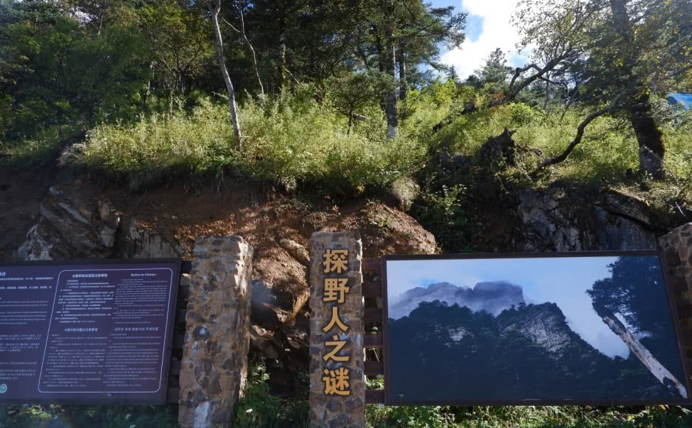 神农架有野人吗?科考探险已给出答案,当地仍当成未解之谜