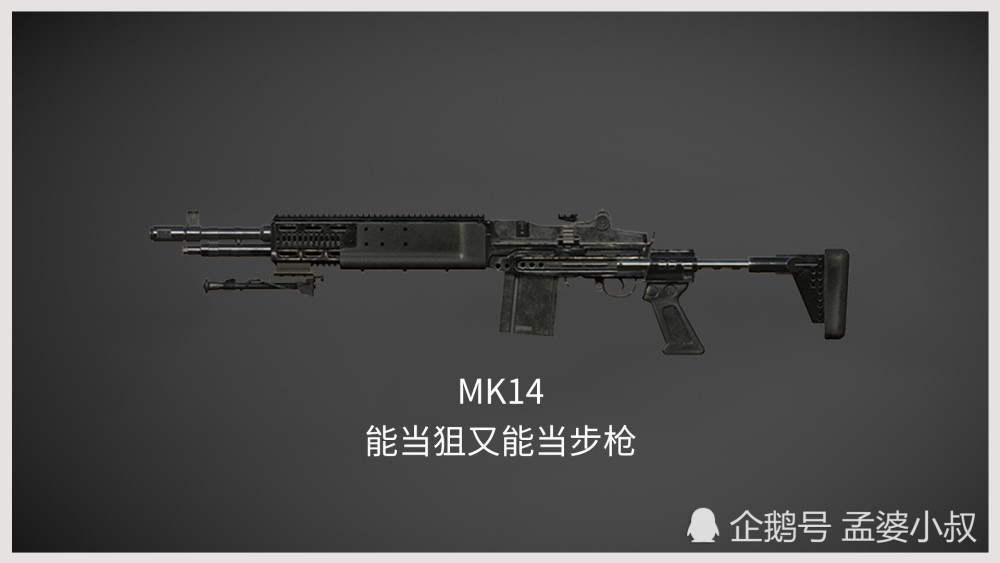 和平精英,武器,游戏,死神,mk14,两栖装甲车