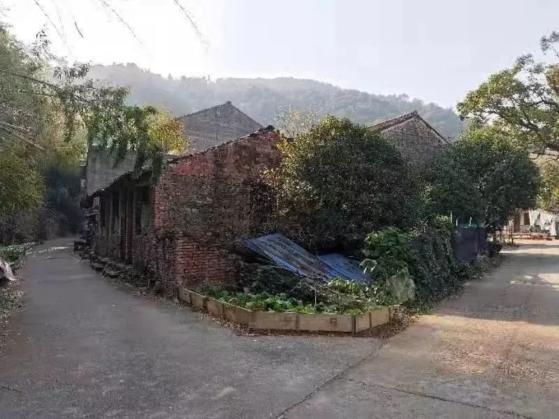 新屋,温岭市,大溪镇,陈洋村