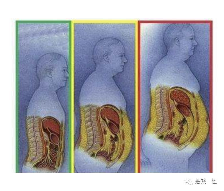 240斤胖子解剖纪实,不到生命最后一秒,你不知道脂肪能