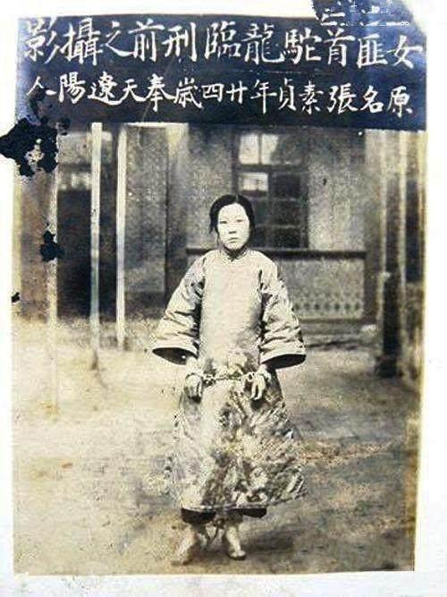 土匪,民国,旗袍,张素贞,丝绸,驼龙