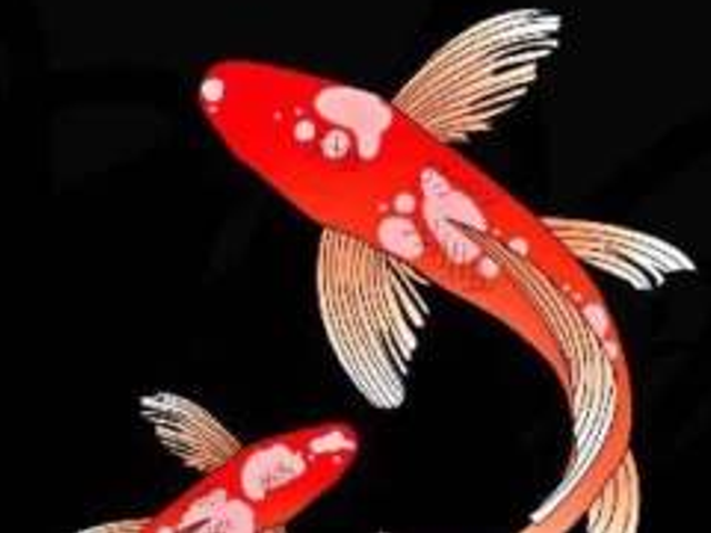 人在走运前有三个征兆,如果你有两个或以上,恭喜你了!