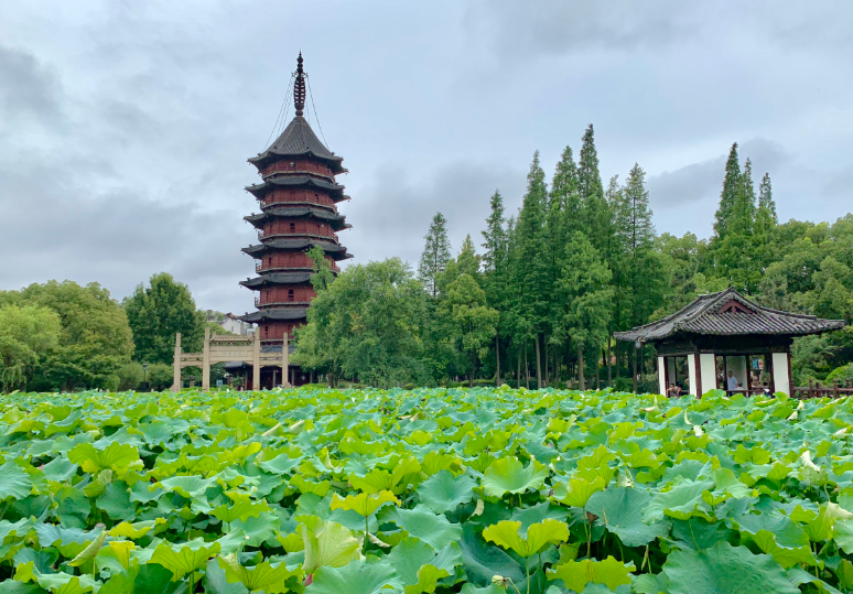 浙江有一"湖州三绝",景观不输于南浔古镇,却鲜少人知