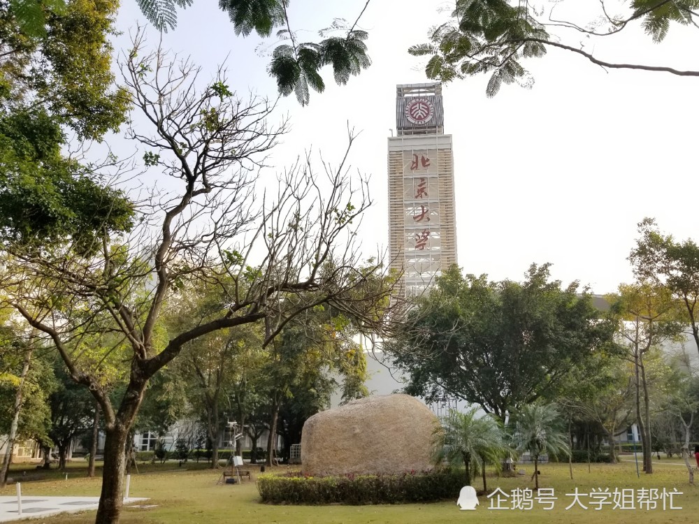 北京大学,校园,北京大学深圳研究生院,深圳,燕园