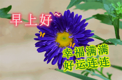 清晨群发的早上好图片动态的带鲜花 秋天温馨早上好