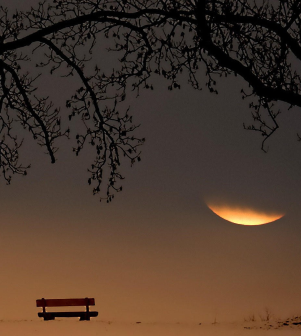 夜空下一轮弯月扣在天边,树枝在夜空的映照下,更添一份美感,宁静祥和