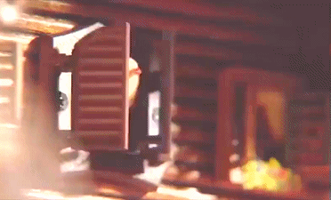 猫咪和圣诞树,有着不共戴天之仇!