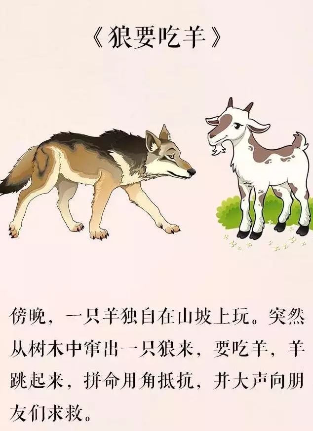 狼要吃羊!故事很短,感触很深