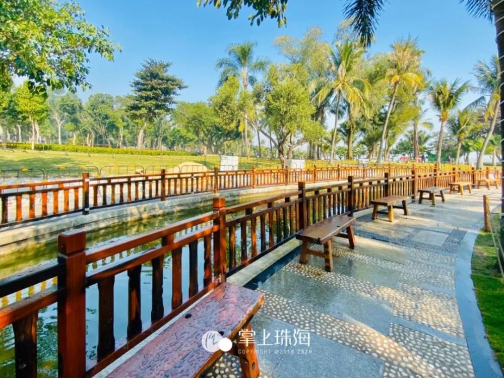 珠海海滨公园全新升级!网红黑天鹅,粉嫩木棉