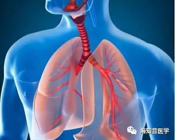 呼吸道五项及临床意义