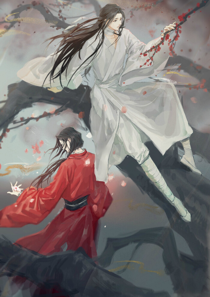 天官赐福,国漫,动漫,小说,谢怜