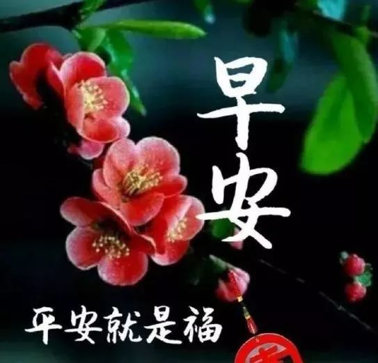 12月28早上好问候祝福动态表情图片 早安问候语及暖心