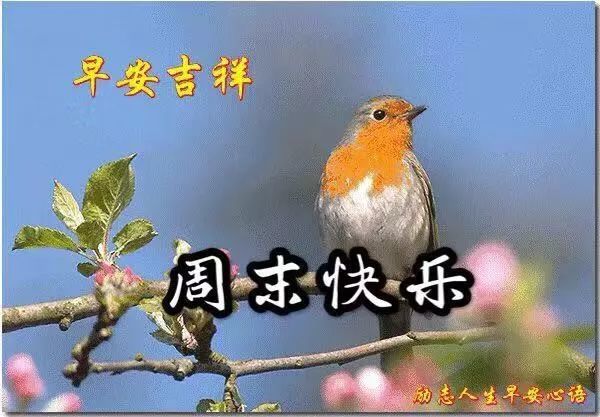 周末早上好暖心问候祝福语图片,最新早上好问候祝福语